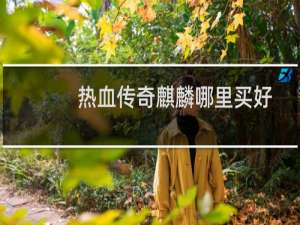 热血传奇麒麟哪里买好