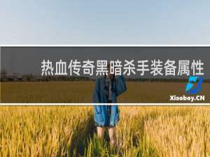 热血传奇黑暗杀手装备属性