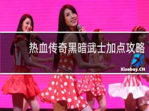 热血传奇黑暗武士加点攻略