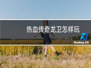 热血传奇龙卫怎样玩
