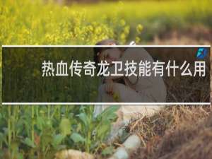 热血传奇龙卫技能有什么用