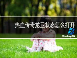 热血传奇龙卫状态怎么打开