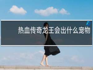 热血传奇龙王会出什么宠物