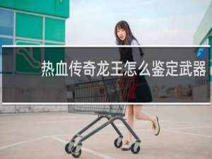 热血传奇龙王怎么鉴定武器