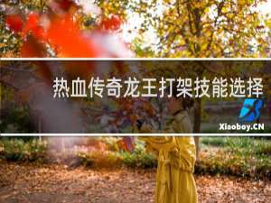 热血传奇龙王打架技能选择