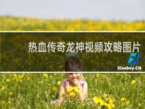 热血传奇龙神视频攻略图片