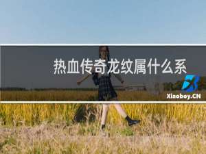 热血传奇龙纹属什么系