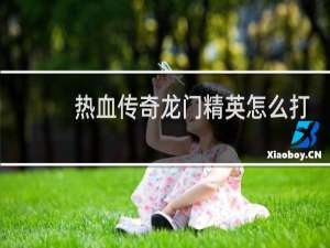 热血传奇龙门精英怎么打