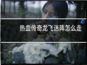 热血传奇龙飞迷阵怎么走