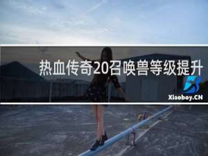 热血传奇 召唤兽等级提升
