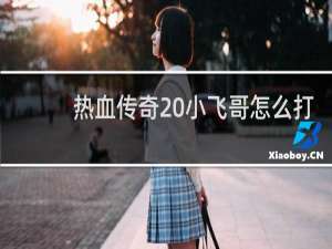 热血传奇 小飞哥怎么打