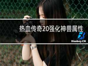 热血传奇 强化神兽属性