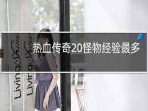 热血传奇 怪物经验最多