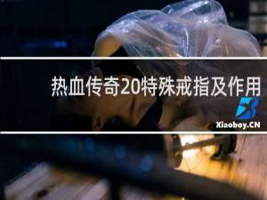 热血传奇 特殊戒指及作用
