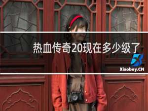 热血传奇 现在多少级了