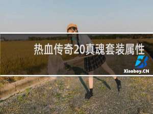 热血传奇 真魂套装属性