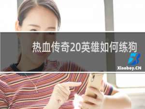 热血传奇 英雄如何练狗