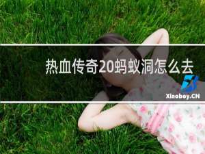 热血传奇 蚂蚁洞怎么去