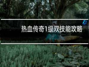 热血传奇1级双技能攻略
