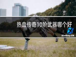 热血传奇10阶武器哪个好
