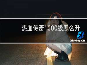 熱血傳奇1000級怎么升