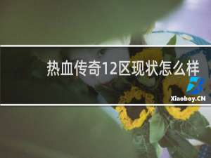 热血传奇12区现状怎么样
