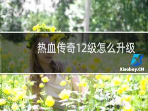 热血传奇12级怎么升级