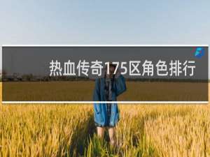 热血传奇175区角色排行
