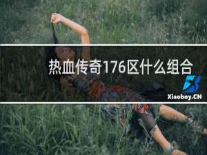 热血传奇176区什么组合