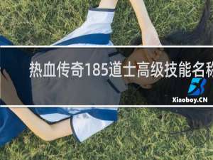 热血传奇185道士高级技能名称