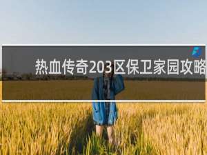 热血传奇203区保卫家园攻略