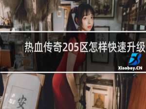 热血传奇205区怎样快速升级