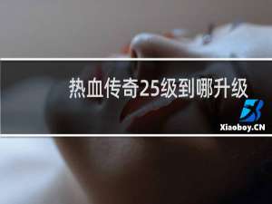 热血传奇25级到哪升级