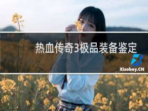 热血传奇3极品装备鉴定