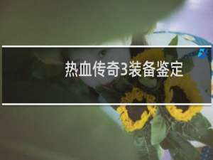 热血传奇3装备鉴定