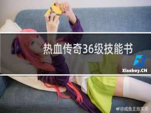 热血传奇36级技能书