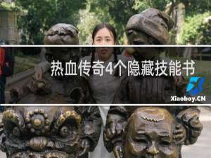 热血传奇4个隐藏技能书