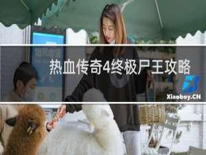 热血传奇4终极尸王攻略