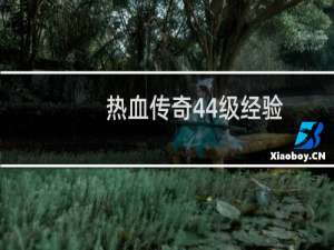 热血传奇44级经验
