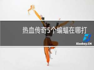 热血传奇5个蝙蝠在哪打