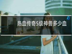 热血传奇5级神兽多少血