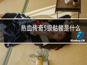 热血传奇5级骷髅是什么