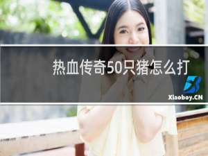 热血传奇50只猪怎么打