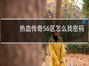 热血传奇56区怎么找密码