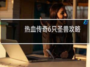 热血传奇6只圣兽攻略