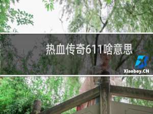 热血传奇611啥意思