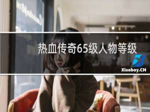 热血传奇65级人物等级