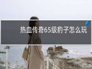 热血传奇65级豹子怎么玩