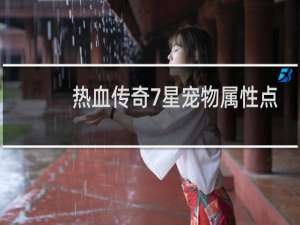 热血传奇7星宠物属性点