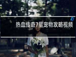 热血传奇7星宠物攻略视频